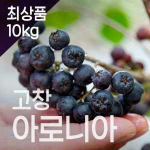 [최상품]고창 아로니아생과_10KG