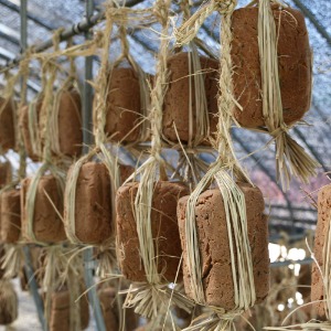 국산 메주 전통 대두콩 100% 된장 간장 고추장 만들기
